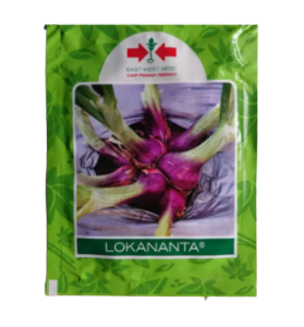 Benih Bibit Bawang Merah LOKANANTA isi 10 gr
