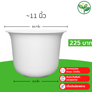 กระถาง กระถางต้นไม้ มินิมอล ถ้วยจีน ขนาด 11 นิ้ว สีขาว 5 ใบ ชิ้น อัน