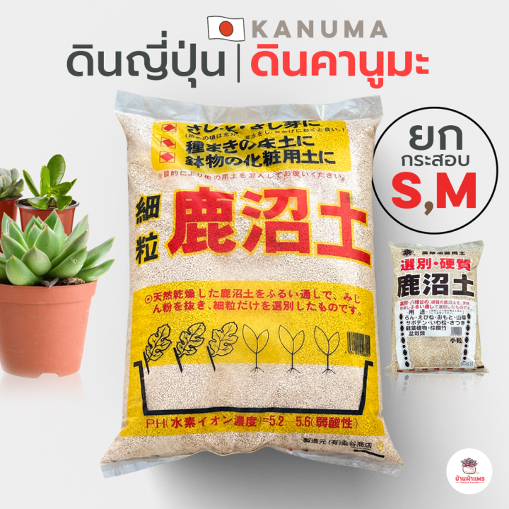 ดินคานูมะ Kanuma ดินญี่ปุ่น สำหรับแคคตัส ไม้อวบน้ำ