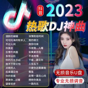 正版【抖音DJ神曲】车载音乐u盘2023流行新歌dj重低音热歌mp3优盘