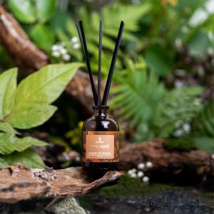 Hampers Reed Diffuser Summerspring Pengharum Ruangan Aromatheraphy 40ML