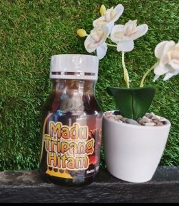 MADU TRIPANG HITAM ASLI UNTUK PENYAKIT MAAG & JANTUNG