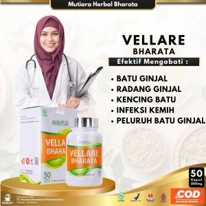 Obat Herbal Vellare Bharata -Obat Batu GinjalEmpedu dan Saluran Kemih