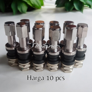 Pentil ban tubeless motor 10 pcs