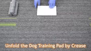 【Chonglewo】Charcoal Pee Pads for Dog Super Absorbent Leak-Proof Training Pads With Leak-Proof Film