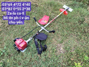 Máy cắt cỏ cầm tay 4 thì SEIKI chính hãng