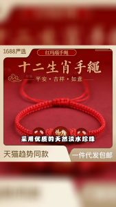 Adjustable Red String Bracelets Chinese Snake Charm Bracelet Braided Rope Bracelet Suitable for Fashion Enthusiasts