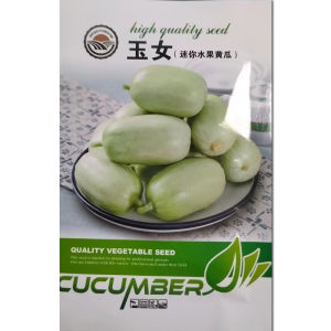 Jade Girl Cucumber Cucumber Thorn Small Cucumber Balcony Easy Potted Jade Girl Fruit Cucumber