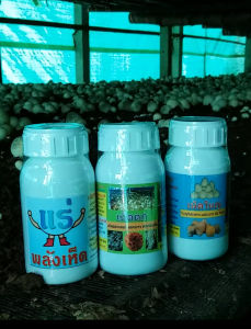 ชุดบํารุงเห็ดฟาง ฮอร์โมนเห็ดดก+เห็ดใหญ่+แร่พลังเห็ด ช่วยให้ดอกเห็ดดกใหญ่ ออกยาว ไม่ยุบไม่แย้ม และ แก้เห็ดไม่ออก ลดเชื้อราผสมน้ํา 200 L.