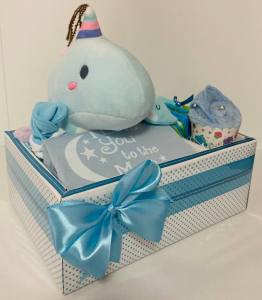 Newborn Baby Hamper giftset Blue Dinosaur 100 days full month celebration