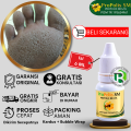 Obat Kaki Rayapan Bau, Obat Pitted Keratolysis, Obat Telapak Kaki Bolong Bolong Kecil, Obat Kaki Pecah Dan Kering, Kaki Rorombeheun, Kaki Bolong2, Kaki Rinyuhan, Lubang Kecil Kecil di Telapak Kaki - PROPOLIS SM 100% ASLI ORIGINAL. 