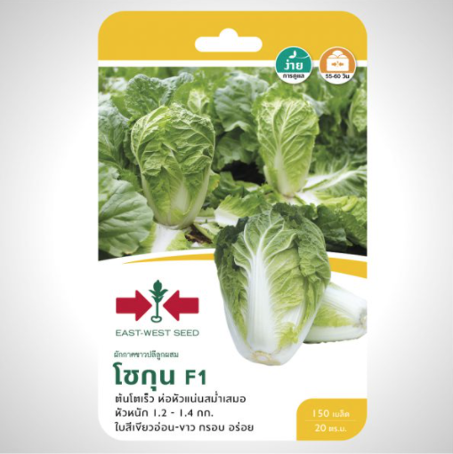 เมล็ดพันธุ์ผักกาดขาวปลี โชกุน F1 ต้านมะเร็ง ตราศรแดง