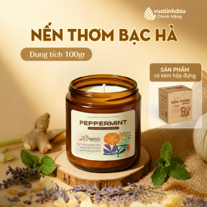 Nến Thơm Phòng Ngủ Thư Giãn Không Khói Tinh Dầu Bạc Hà VUATINHDAU 100g/200g Nến Thơm Đuổi MuỗiQuà TặngTrang Trí