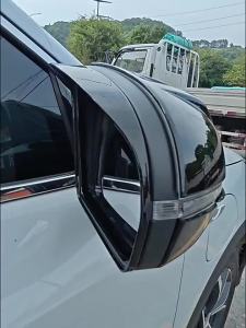 sapid For BYD Seal U Sealion 6 Song Plus DMI Byd Atto 3 Yuan Plus Rearview Mirror Cover Modification Car accessories 9Y1Z5
