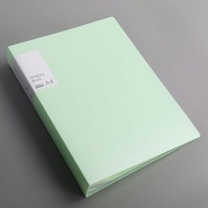 Bìa nhựa File lá Clear Book A4 5 màu Molandi đủ loại 20/40/60/100 lá BIGBA