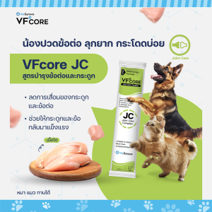 VF+core อาหารเสริมรูปแบบขนม สำหรับแมวและสุนัข ขนาด (12g x 5 ซอง)