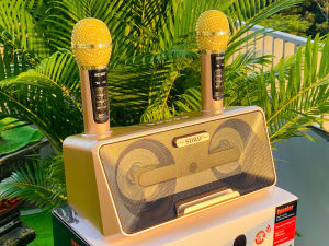 [GIÁ SỐC - MIỄN PHÍ SỬ DỤNG 7 NGÀY] Loa Xách Tay Bluetooth SD 301S Công Suất 20W Mạnh Mẽ Âm Thanh Sống Động Dung Lượng Pin Cao Gọn Nhẹ Dễ Dàng Mang Theo Thoải Mái Karaoke Gia Đình Phòng Trà Giải Trí Ngoài Trời