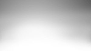 Alas Kencing Kucing Lapik Kucing Dalam Sangkar  Liner  Wee Pad Dog Pee Pad Cat Urine Pad  Training Pad