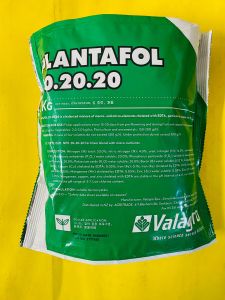 Pupuk Daun buah PLANTAFOL 20.20.20 1 kg dr VALAGRO joss tenan!!!