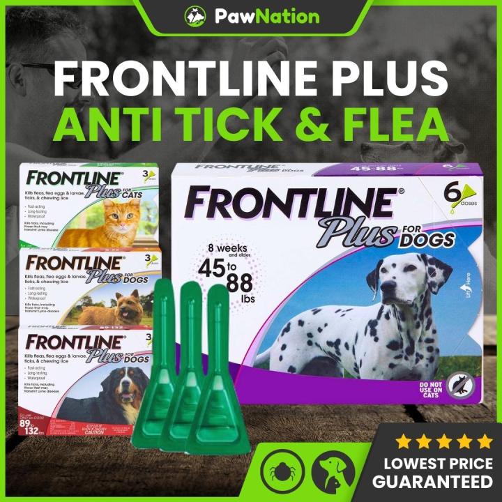 Frontline Plus Anti Ticks and Fleas Control for Dogs and Cats Fast ...