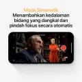 SULTANWIN. 