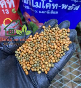 Túi 1kg NPK 12-25-6+1 phân vàng tan chậm Osmocote Thailand kích hoa hoa to đậm màu phóng thích 3-6 tháng