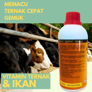 Suplemen Vitamin Ayam Bebek Ikan Sapi dan Kambing – Cepat Gemuk & Produktivitas Meningkat