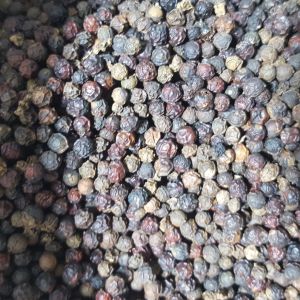 2kg tiêu đen hữu cơ sạch chắc hạt Daklak nhà trồng