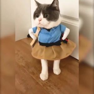 Halloween pakaian Samurai Funny Upright Costume Fancy Dress Up untuk kucing anjing Cosplay Suit untuk aksesori anjing Chihuahua