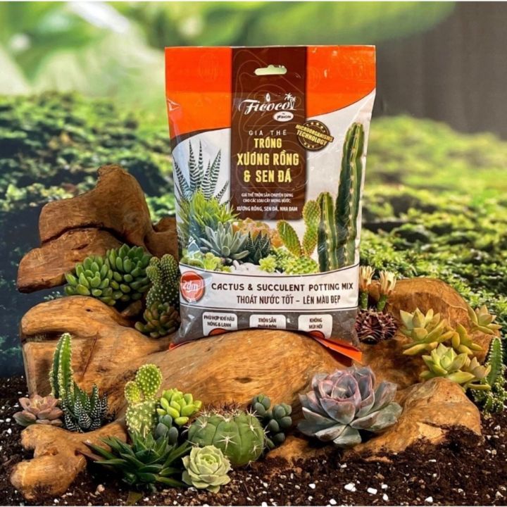 Đất trồng sen đá, xương rồng (2dm3 khoảng 1.5kg) chuyên dùng cho cây mọng nước, cây khỏe, lên màu chuẩn