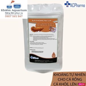 HANAH AQUARIUM_BESSN Cám cá Koi chép sư tử trắng tăng size hỗ trợ tiêu hóa hộp 350g/1000g(cá cảnh cá betta hồ cá.)+KHOÁNG BỔ SUNG
