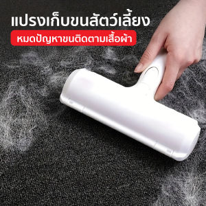 แปรงกำจัดขนแมว ขนสุนัข แปรงเก็บขนสัตว์เลี้ยง แปรงลูกกลิ้ง ใช้ได้กับเฟอร์นิเจอร์ โซฟา พรม รุ่น WL-01