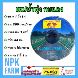เทปน้ำพุ่ง กบแดง ขนาด 1 นิ้ว 5 รู ม้วนเต็ม ยาว 200 เมตร ความกว้าง 53 มม. ระบบน้ำ กระจายน้ำสม่ำเสมอ ทนทาน ไม่แตกง่าย สวมท่อขนาด 1 นิ้วง่าย