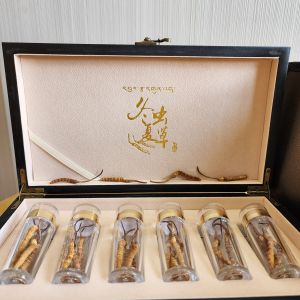 Hộp 22 con Đông trùng Hạ thảo Tây Tạng khô tự nhiên Size 5 - Loại 1gr trung bình 5 con