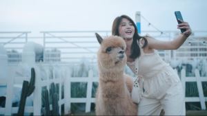 L02ไร้สายบลูทูธ S elfie ติดขาตั้งกล้อง monopod ยืนที่วางศัพท์สำหรับการเดินทางกลางแจ้ง