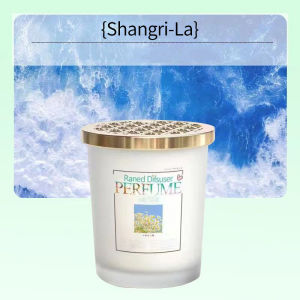 Car Freshener Solid Home Toilet Deodorization Aromatherapy Car Air Freshener Scent