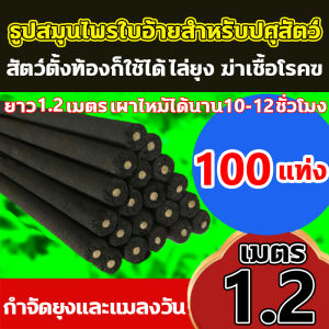 1 แท่งเผาไหม้ได้นาน 12 ชั่วโมง ธูปโกฐจุฬาลัมพาไล่ยุง 1.2เมตร 20แท่ง ธูปไล่ยุง ปลอดภัยสำหรับเด็ก และสตรีมีครรภ์ ธูปจัมโบ้ ผลิตจากวัสดุธรรมชาติ ธูปหอมไล่ยุง ปรับปรุงสภาพแวดล้อมการเลี้ยงสัตว์ ธูปกำจัดยุง ปรับใหม่แรงขึ้นมีกลิ่นหอมและจุด ธูปสมุนไพรไล่ยุง