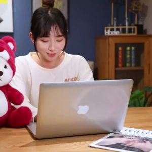 FCJOJO CASTLE Kawaii Lina Bear Costume 26-65cm Teddy Bear Tales Plush Toy Stuffed Animal Bear with Cloth Cute Soft Doll Girl Room Decor Childrens Gifts Valentines Day Birthday Gift For Kids Girlfriend Childrens Holiday Gift