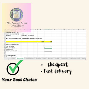LHDN Income Tax Computation 2026/2025/2024/2023/2022 Template Auto Calculate Form B - financial statement LAPOR CUKAI BORANG B 报税
