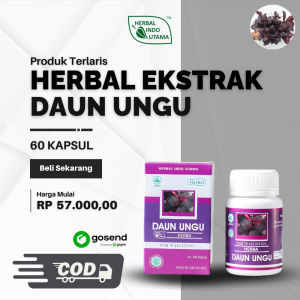 Ekstrak Daun Ungu 60c - untuk Meringankan Gejala Wasir (Ambeien)