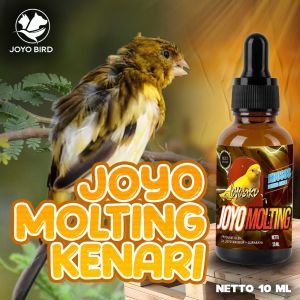 VITAMIN MEMPERCEPAT MABUNG KENARI | BULU AMBROL | RONTOK BULU BURUNG | JOYO MOLTING KENARI