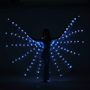 ชุดคอสเพลย์เจ้าหญิงมงกุฎสำหรับทั้งหญิงและชายเสื้อคลุมปีกเรืองแสงสำหรับเด็กการแสดงงานเฟสติวัล