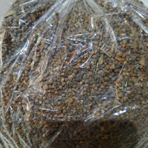 MURAH BIJI MERICA BOLONG KERING HERBAL MURNI 250 GRAM