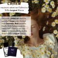 น้ำหอม Blotto Fragrance EDP หอมติดทนนาน กลิ่น Charm (Chamo). 