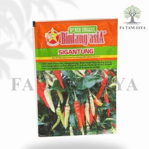 BENIH CABAI/CABE SIGANTUNG BINTANG ASIA 10g