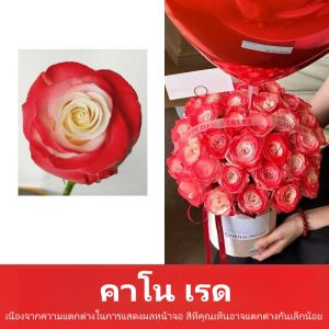 🔥พร้อมส่ง🔥 สีสเปรย์ดอกไม้ ชนิดแห้งเร็ว (สเปรย์ดอกไม้) DIY สเปรย์ดอกไม้ 450 ml. สเปรย์ฉีดกุหลาบสีฟ้า น้ำแข็งบด ดอกไม้