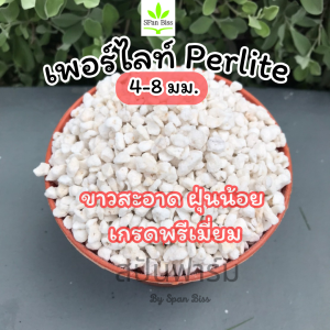 เพอร์ไลท์ perlite เกรดA ฝุ่นน้อย 4-8มม วัสดุปลูกต้นไม้ วัสดุเพาะปลูก เพิ่มความโปร่ง เพิ่มออกซิเจนดิน เพอไรซ์ เพอไล เพอไรท์ หินเพอร์ไลท์