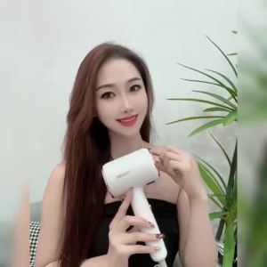 German Genuine Hair Dryer for Home Use High Power Salon Hot and Cold Air Ionic Quick-Dry Electric Hair Dryer