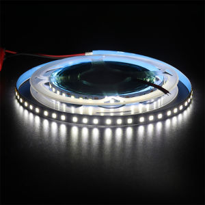 Dc 12V dải đèn LED 2835 120LEDs/m linh hoạt đèn LED không thấm nước 3000K 4000K 6000K Đỏ màu xanh dương màu xanh lá cây hồng vàng 5m