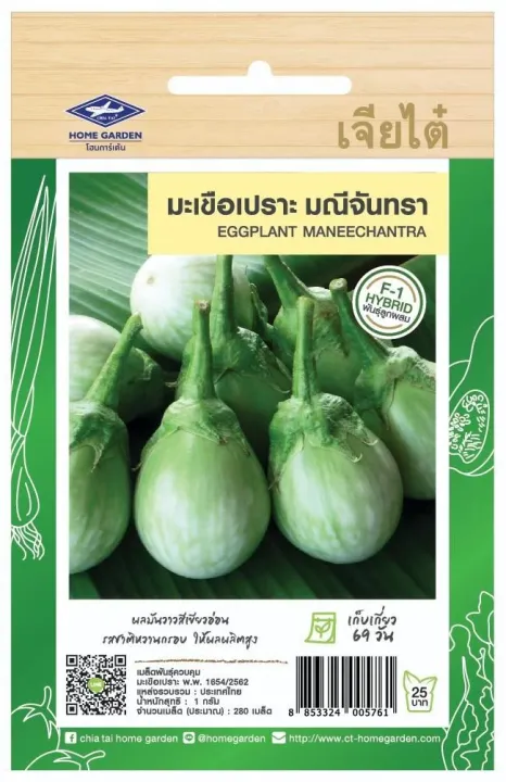 เมล็ดพันธุ์มะเขือเปราะมณีจันทรา เจียไต๋ CT/F1-085